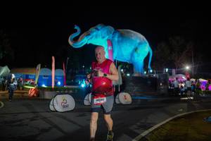 BIB: 
                            <button type="button" onclick="openModal(26552385)" class="btn btn-primary btn-sm float-right btn-popup" data-toggle="modal" data-target=".modal-high-quality">
                        <i class="fas fa-shopping-cart"></i> Add to Cart
                    </button>
                                            <button type="button" onclick="isThisMe(26552385, true)" class="btn btn-success btn-sm float-right btn-popup btn-isme hidden" data-toggle="tooltip" data-placement="bottom" title="นี่คือรูปของคุณใช่ไหม คลิกที่นี่เพื่อเอาเข้าอัลบั้ม">
                        <i class="fas fa-plus"></i> Add to album
                    </button>
                    <button type="button" onclick="isThisMe(26552385, false)" class="btn btn-warning btn-sm float-right btn-popup btn-isnotme hidden">
                        <i class="fas fa-ban"></i> Remove from album
                    </button>